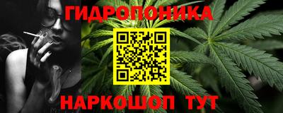apvp Кандалакша
