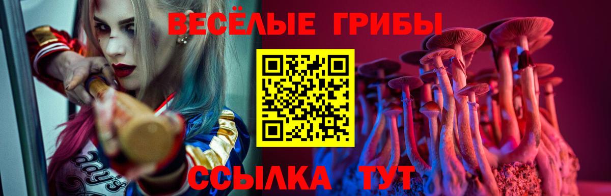 Гурьевск  Галлюциногенные грибы GOLDEN TEACHER  Вход с VPN 